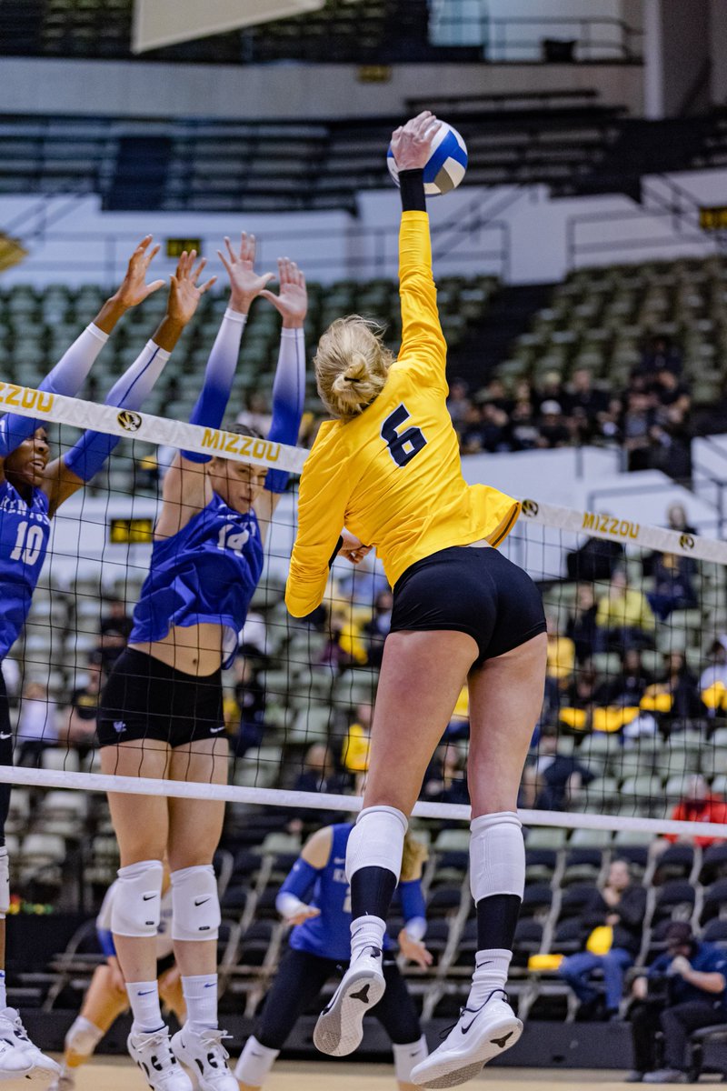 Mizzou Volleyball tweet media