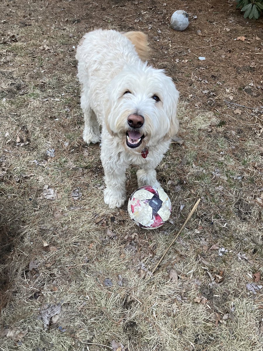 Michael Paasche-Orlow tweet media