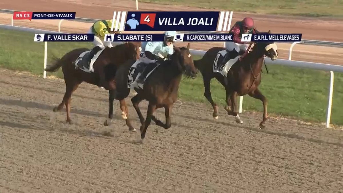 🥇 𝐕𝐈𝐋𝐋𝐀 𝐉𝐎𝐀𝐋𝐈

VILLA JOALI (F2 #Whitecliffsofdover) s'impose dans le Prix Serena aujourd'hui à Marseille pour l'entraînement de Stéphane Labate et la monte de <a href="/fridavallee/">Frida Valle Skar</a>.

👉 Vendue par le <a href="/HClairefontaine/">Haras de Clairefontaine</a> à Frédéric Rossi en septembre 2021 à La Teste.