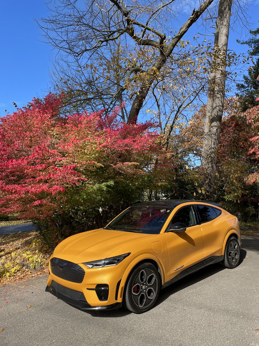 ebergg's tweet photo. Gotta give it to you #puremichigan - you sure are pretty in the ‘fall’ #MachE #autumn  💛 https://t.co/1N5ipIvwPs