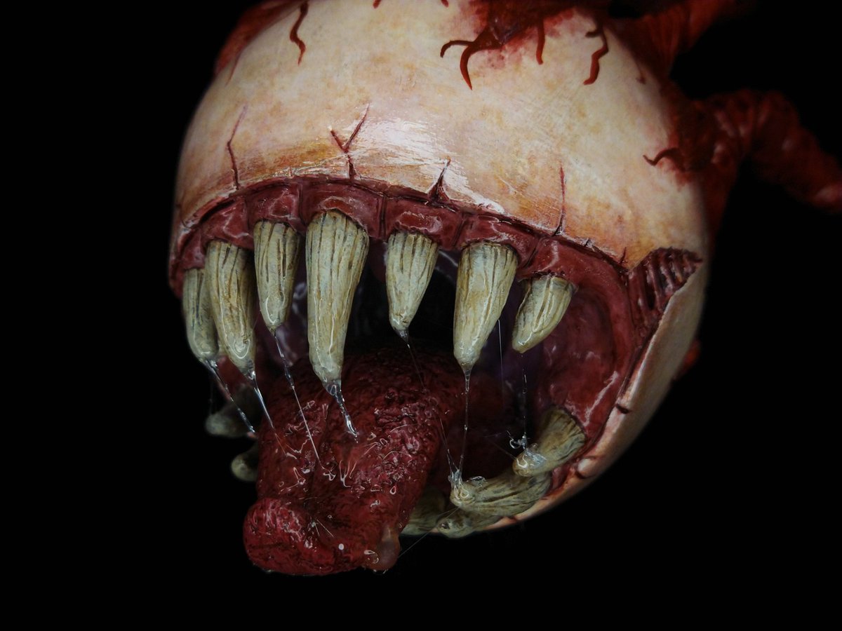 UndauntedHaunted🌳 tweet media