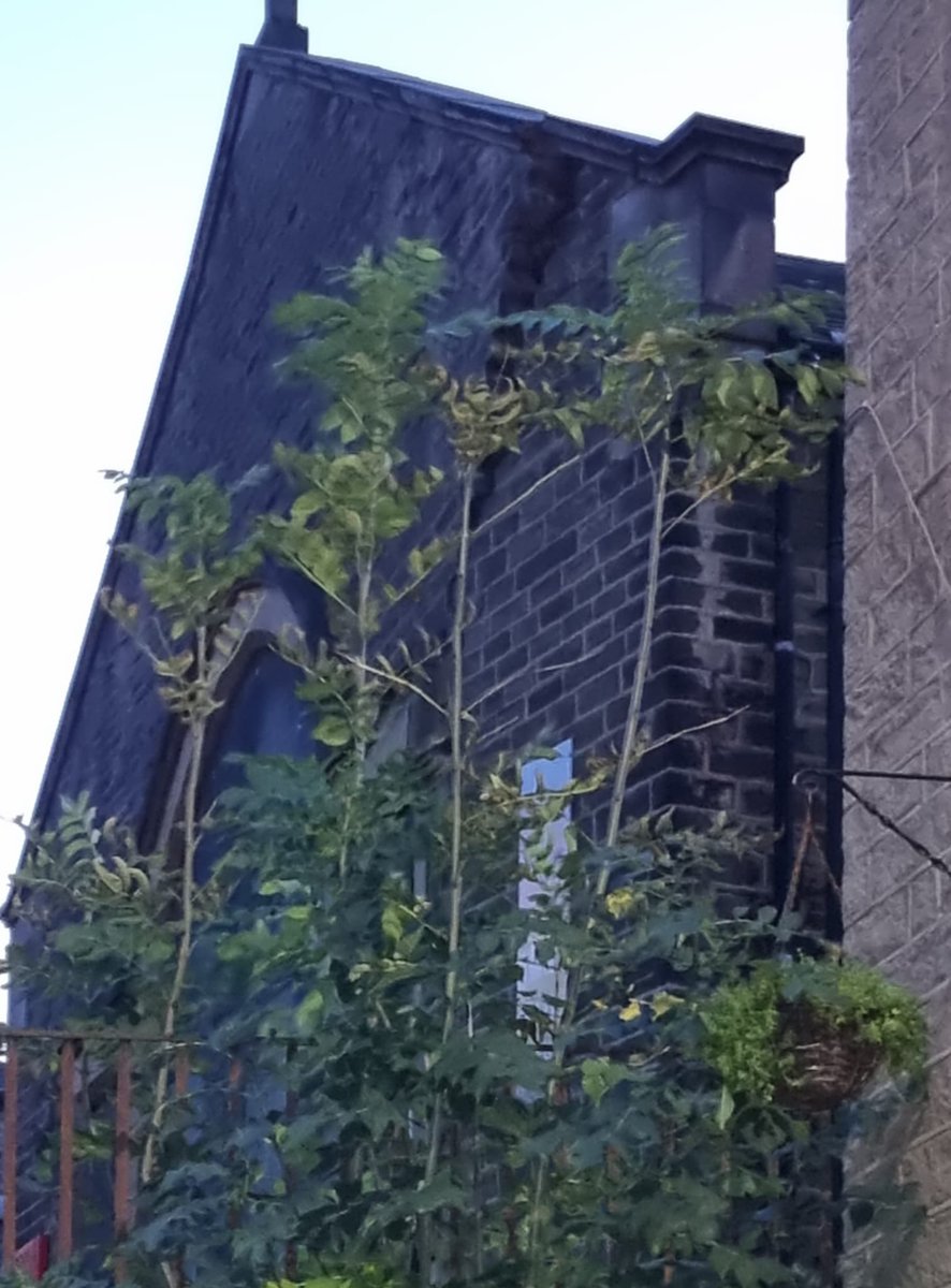 Firefighters are currently dealing with a dangerous structure at a partially demolished church on #Simmondley Lane #Glossop 

⚠️ Please avoid the area &amp; find alternative routes as Simmondley Lane is expected to be closed well into the night. <a href="/DerbysPolice/">Derbyshire Police</a>