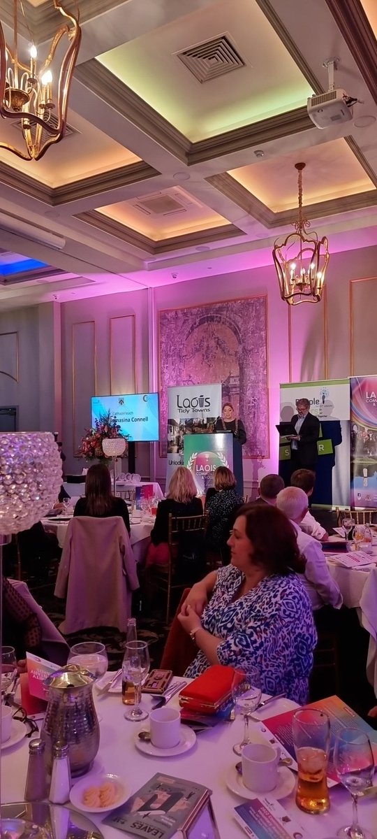 2funkidesign's tweet image. Proud to be here with my fabulous @portartcollect1 nominated in the #laoisawards