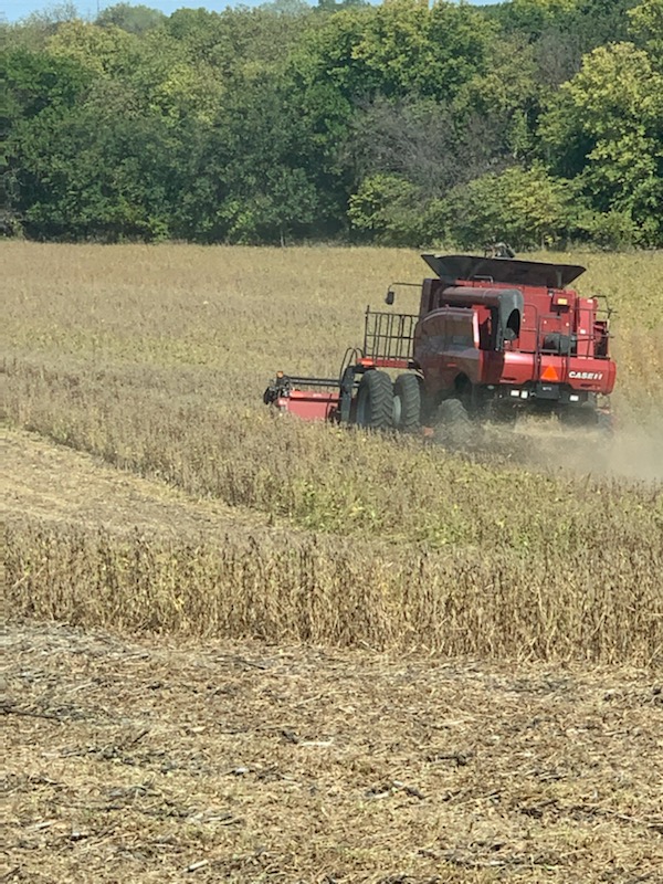 AgWest's tweet photo. Dad got ousted from the combine for the majority of harvest but he still managed to snag a couple #PickingPics for us! Thanks @SugdenSteve of Adams, NE! (AgWest Cash Advisor out of Beatrice!) 
#AgTwitter #harvest22 https://t.co/Cs7yNR68qs