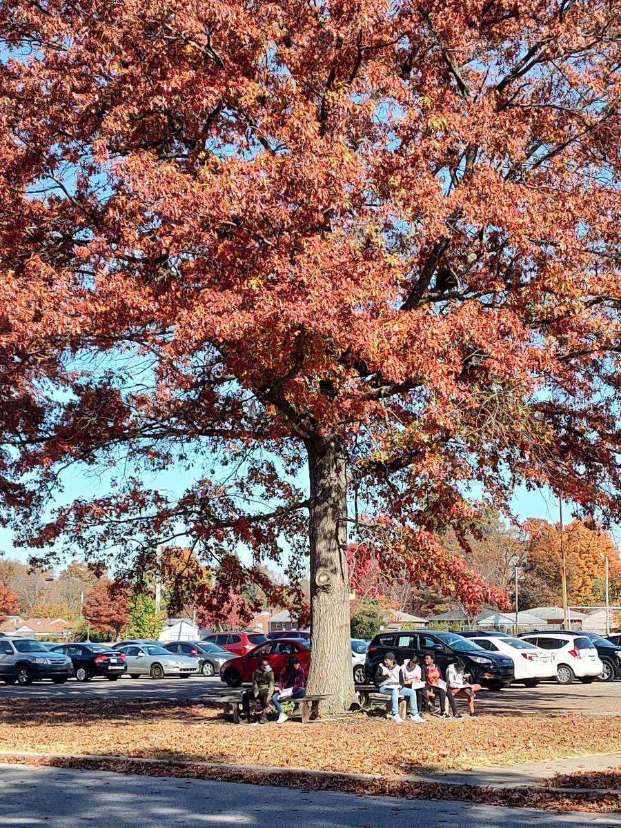Pair Paragraph Writing on a beautiful day.
