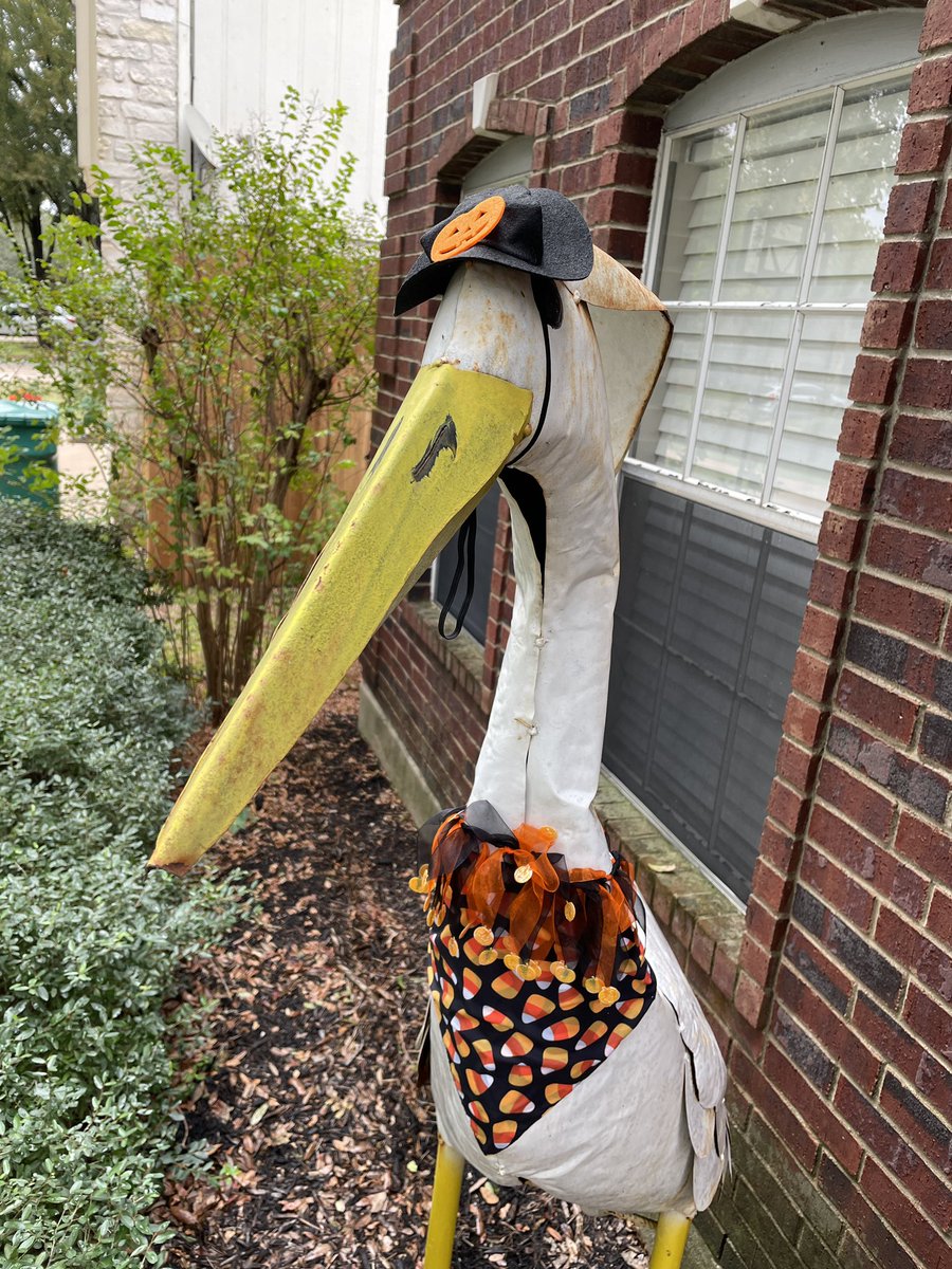 SAINT LORETTO tweet media