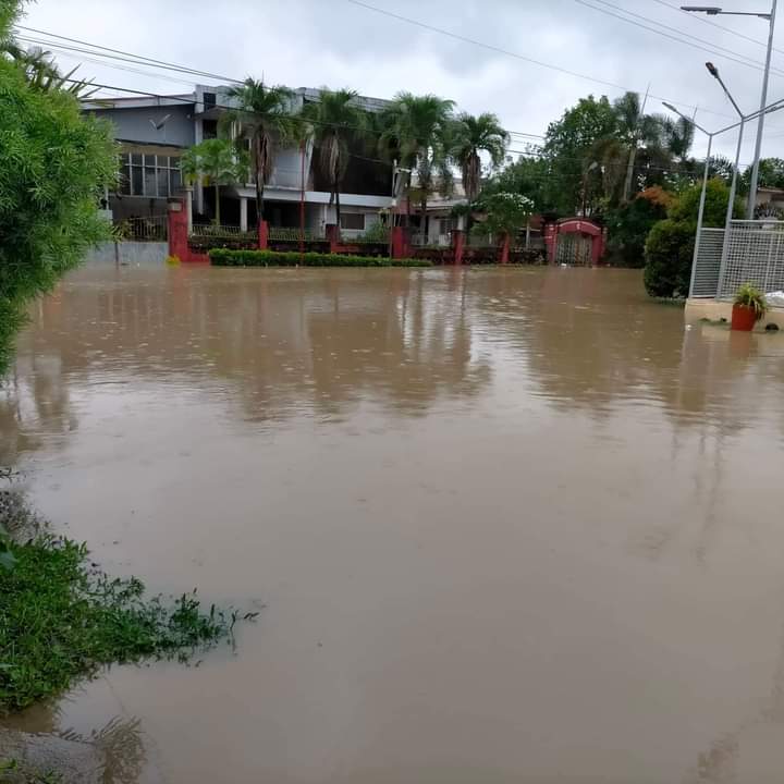 el___pomme's tweet photo. Flood in ph kanina affected rin kami (pls my dog was very scared)🥲🥲 I'll go through every message sooner or later im very sorry for the late replies https://t.co/9iF6JWWSkW