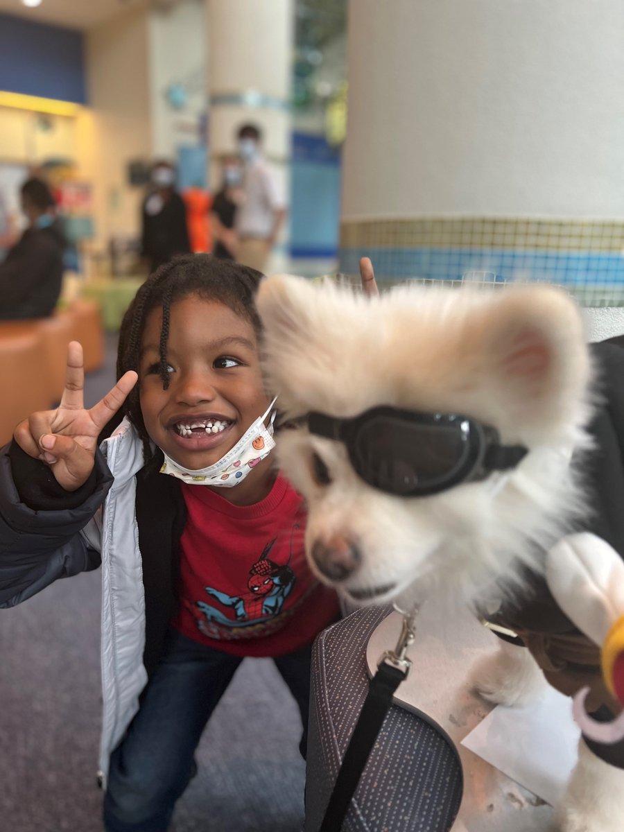 Therapy dogs represent the BEST of #healthcare! Some of our youngest patients at @LevineChildrens got a special HOWL-oween visit from some not-so-scary pet therapy dogs. 🎃 What’s not to love? 🐾 #Halloween #DogsOfTwitter