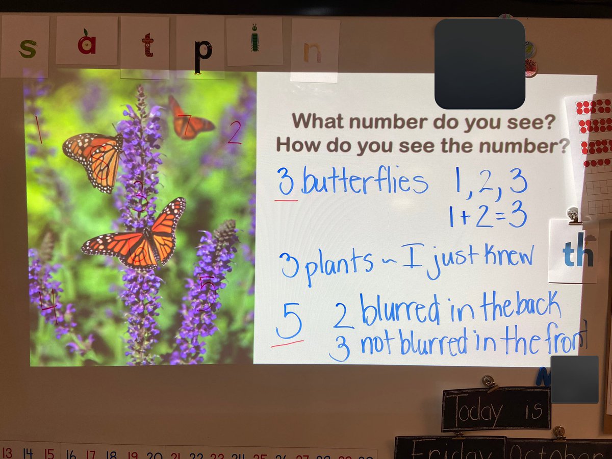 Our number talk today… “Wait! You are teaching us math!” “Ya! And math is in nature!” #BCreggiomath