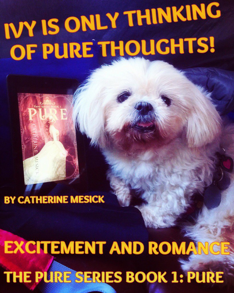 Pure: an exciting paranormal series! #fantasy #romance and #urbanfantasy. amazon.com/Pure-Book-eboo…