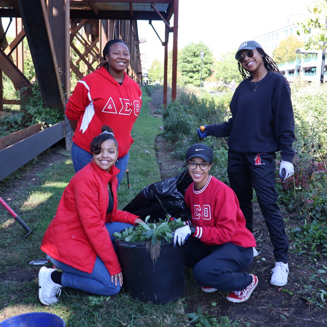 Reforest Richmond tweet media