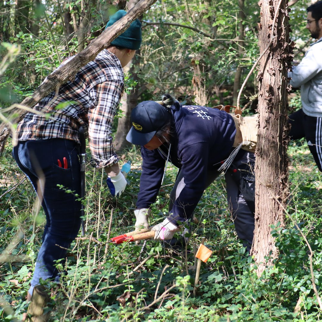 Reforest Richmond tweet media
