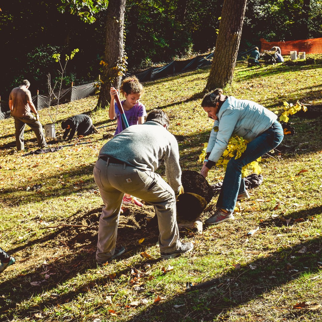 Reforest Richmond tweet media