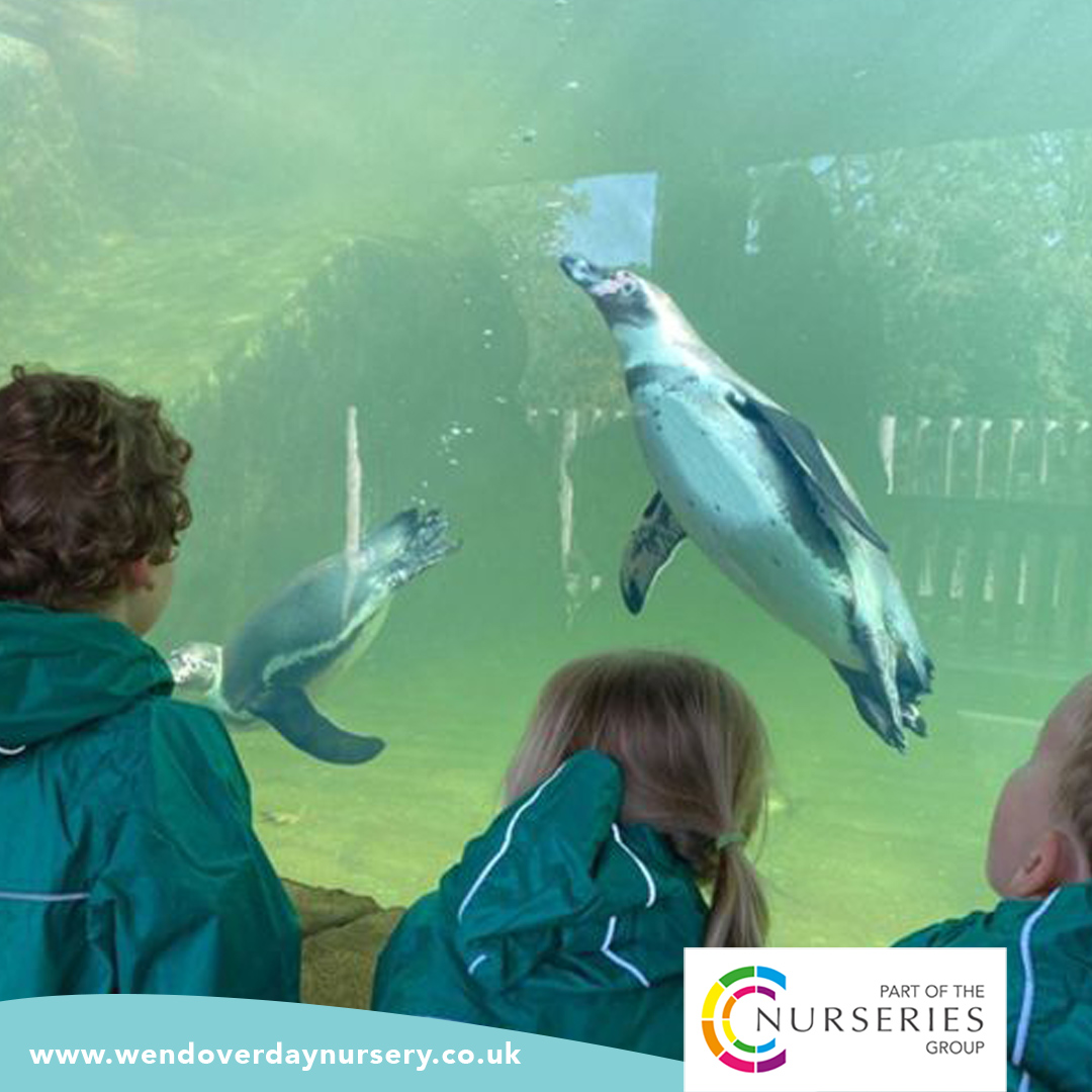 CCNurseriesUK's tweet photo. Pre-schoolers from our #Wendover setting had a fabulous day out at @Woburn_Safari this week! We know this will influence their play for weeks to come!
https://t.co/fNc4FfyPZZ
#NDNAtalk #CCNurseries #childcareinaylesbury https://t.co/38mru2sW8C
