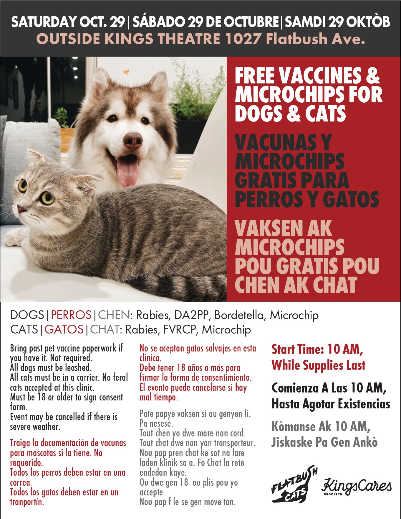 Flatbush Cats We Re Partnering With Kingsbklyn To Host A Free Vaccine Microchip Clinic For Cats Dogs Tomorrow At 10am While Supplies Last T Co 5wypxfy3uq Twitter