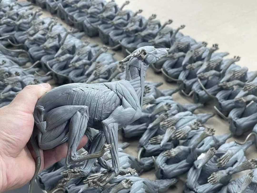 iamsadpanda's tweet photo. The hounds are coming!
#zbrush #dog #anatomy #evolutio #Sculpture https://t.co/jUk01lk0cE