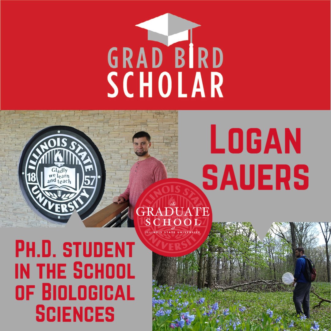 The Graduate School has selected Logan Sauers as its October 2022 #GradBirdScholar recipient‼ GradBird Scholar is an initiative to recognize graduate students for their scholarly endeavors at <a href="/illinoisstateu/">Illinois State</a> 🎉👍

news.illinoisstate.edu/2022/10/meet-t…