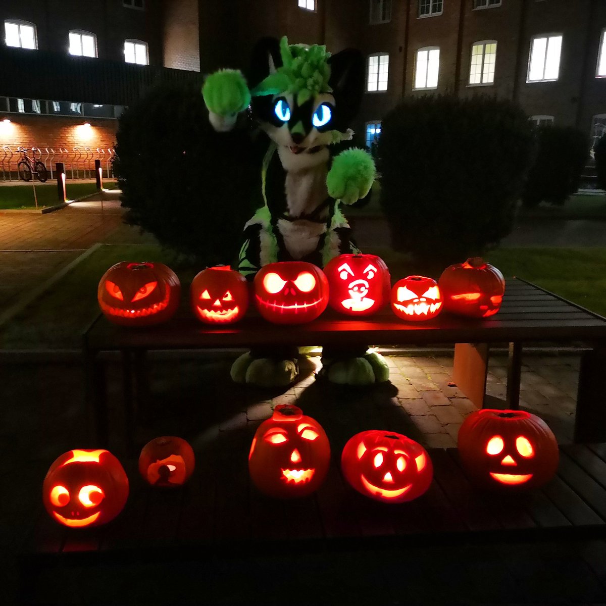 RAWR! it's spooky #FursuitFriday!

 #fursuit #furry #furryfandom #fursuiter #FursuitEveryday #Halloween #pumpkin #carvedpumpkin