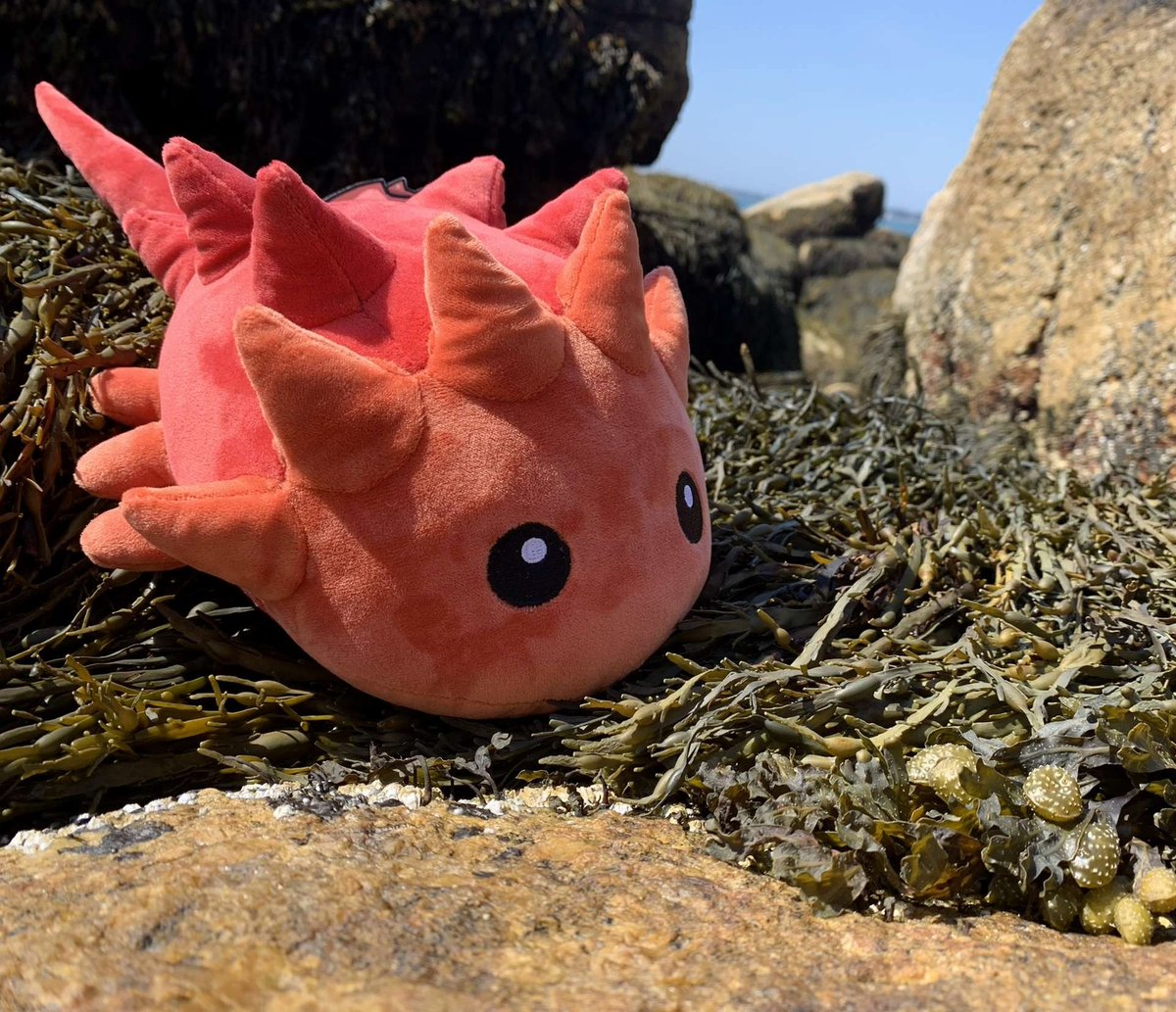 slime_story's tweet image. 🐙 SLIMESTORY GIVEAWAY TIME 🦀

Like, retweet, and follow for a chance to win a Horseshoe Crab Plushie or a Dumbo Octopus Plushie! We'll pick a winner next Friday!
