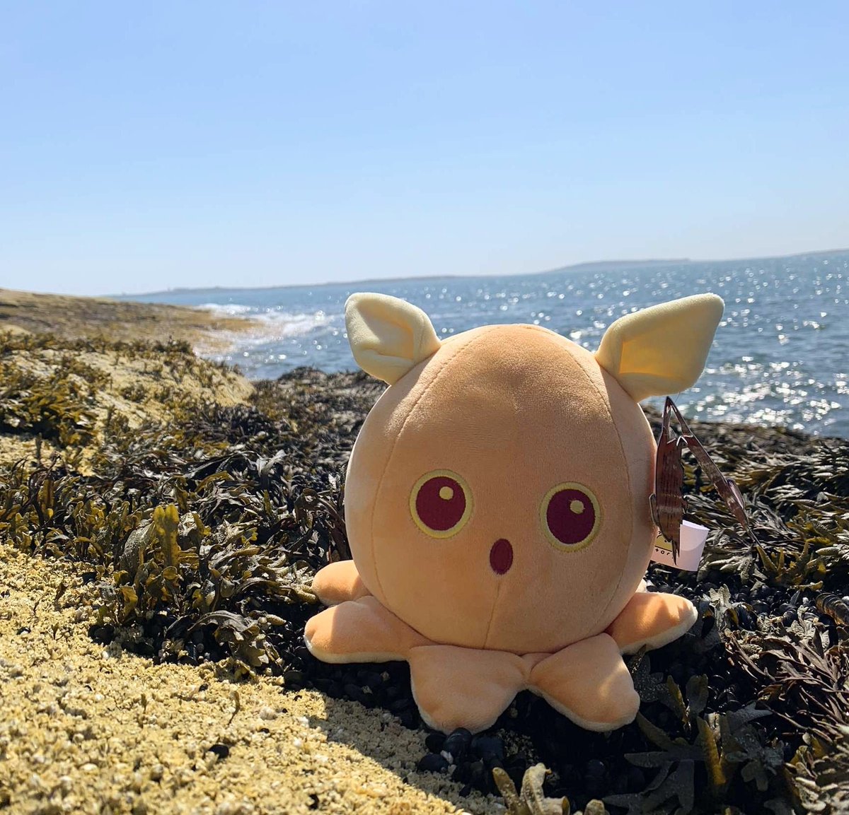 slime_story's tweet image. 🐙 SLIMESTORY GIVEAWAY TIME 🦀

Like, retweet, and follow for a chance to win a Horseshoe Crab Plushie or a Dumbo Octopus Plushie! We'll pick a winner next Friday!