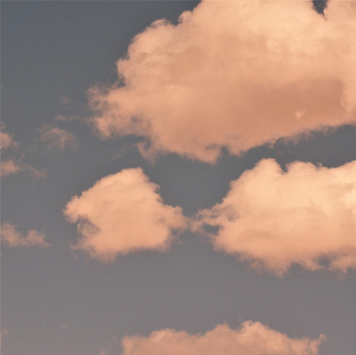 DaMarco1515's tweet photo. I think my music variety is stagnating because all of the album art in my Spotify weekly discover literally looks like this https://t.co/6qwt8fsh4P