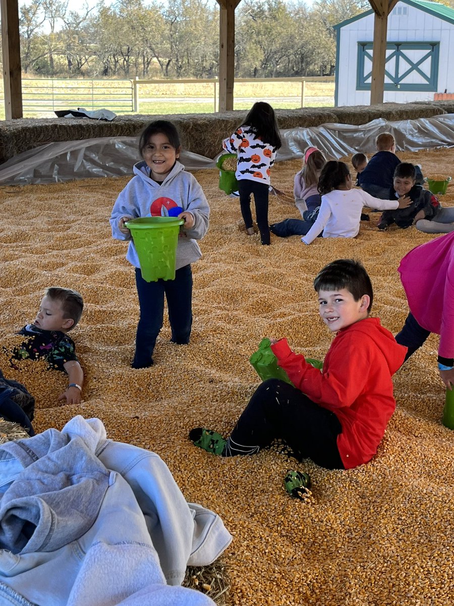 stevieborn's tweet photo. Our trip to the pumpkin patch was a success today! Thank you @GieringersFarm for a great time, our students had โthe best day ever!โ #pumpkins #OPSfortheirfuture #RRcommUNITY https://t.co/YRYAaFzbME