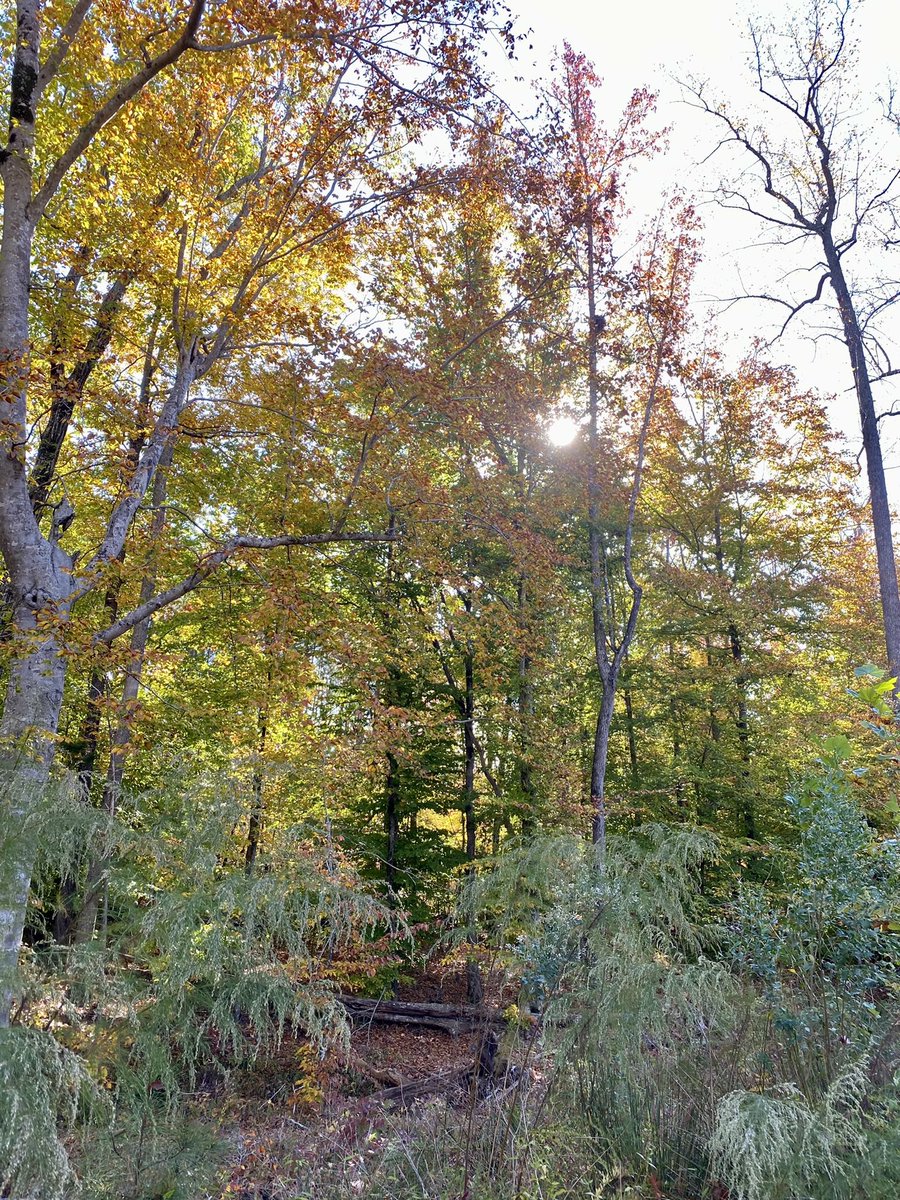 Great day for a walk on the nature trail