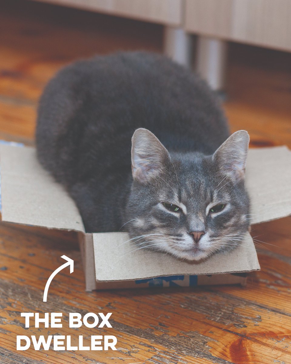 How Many Greenies Can A Dog Have A Day