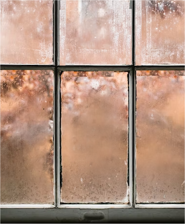 ProCleanWindows's tweet image. If you&apos;re seeing foggy windows, you shouldn&apos;t ignore them, they are probably an indication of a problem. These are the situations that foggy windows can cause.
seattleprowindowcleaner.com/foggy-windows/