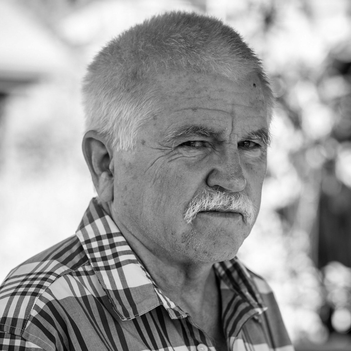 Angel City Press tweet media