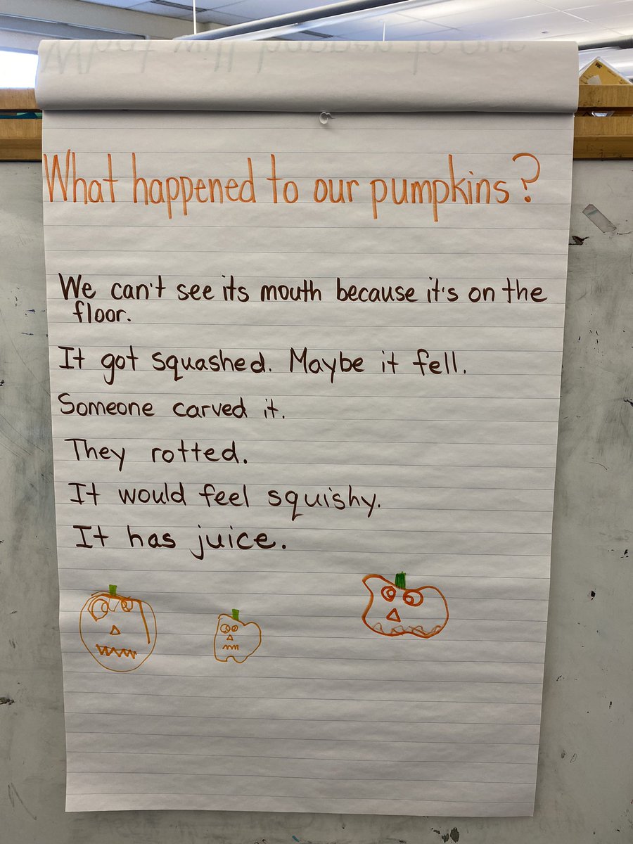 WilshireLibrary's tweet photo. Someone 🎃 didn’t want to hang around till Halloween! Our student scientists made some very astute observations & wonderings about why our #LibraryPumpkins didn’t last, but the line of the day has got to be “we can’t see its mouth because it’s on the floor 😂 #PumpkinInquiry https://t.co/HSIoAXE7fP