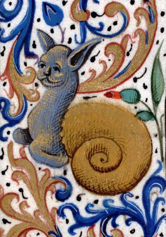 snail cat, france, 15th century
