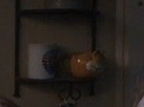 dostuyokvski's tweet photo. LOOK AT EDDIE MUNSON’S GARFIELD MUG https://t.co/weN7zp3cim