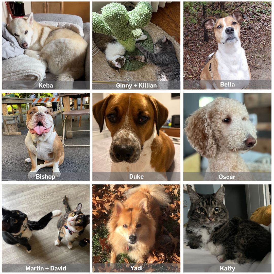 To celebrate our #PetsAndPeopleTogether campaign, Ad Council employees are sharing photos of their four-legged family members. 🐶🐱👪 Find out how you can #BeAHelper through reunification, donations, and short/long term fostering: petsandpeopletogether.org