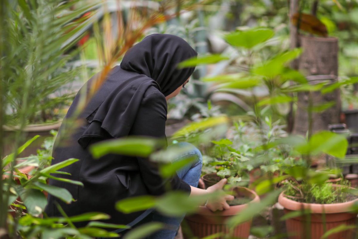 Agriculture is the largest sector of the Afghan economy and improving agricultural productivity has the potential to improve the lives of millions. With the support of the #EU, 155 women from #Afghanistan will receive scholarships to study in Central Asia. go.undp.org/ktG7