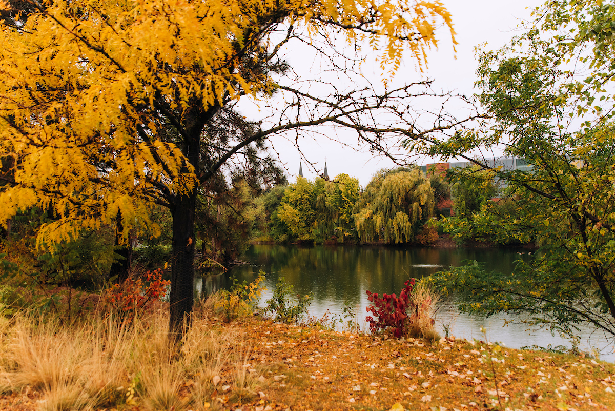 GonzagaU's tweet photo. The Gonzaga campus is always beautiful, but fall ... it's our fave.
(Photos by student photographer Chiana McInelly) https://t.co/0mj2d3LMF4