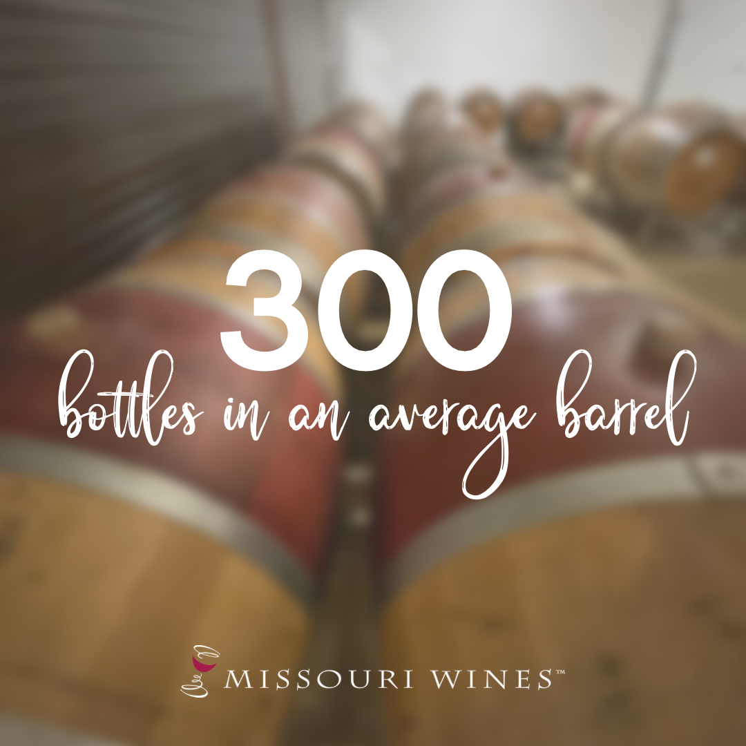 #DYK there is around 300 bottles of wine made from an average barrel? #winefactfriday #missourigrown #missouriwine