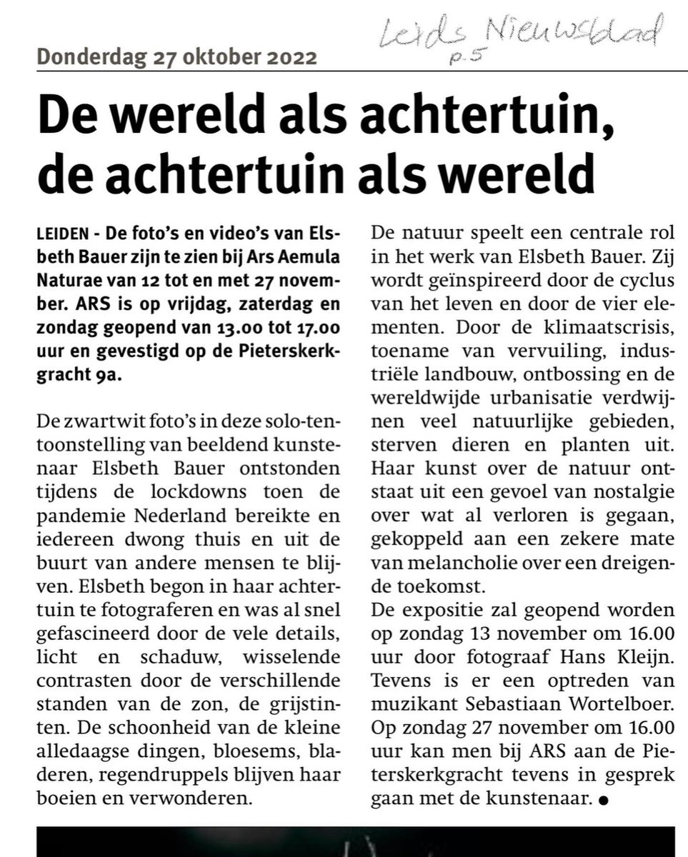 Elsbeth Bauer tweet media