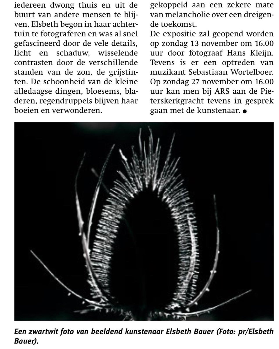 Elsbeth Bauer tweet media