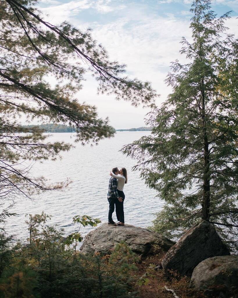 Olive Photography tweet media