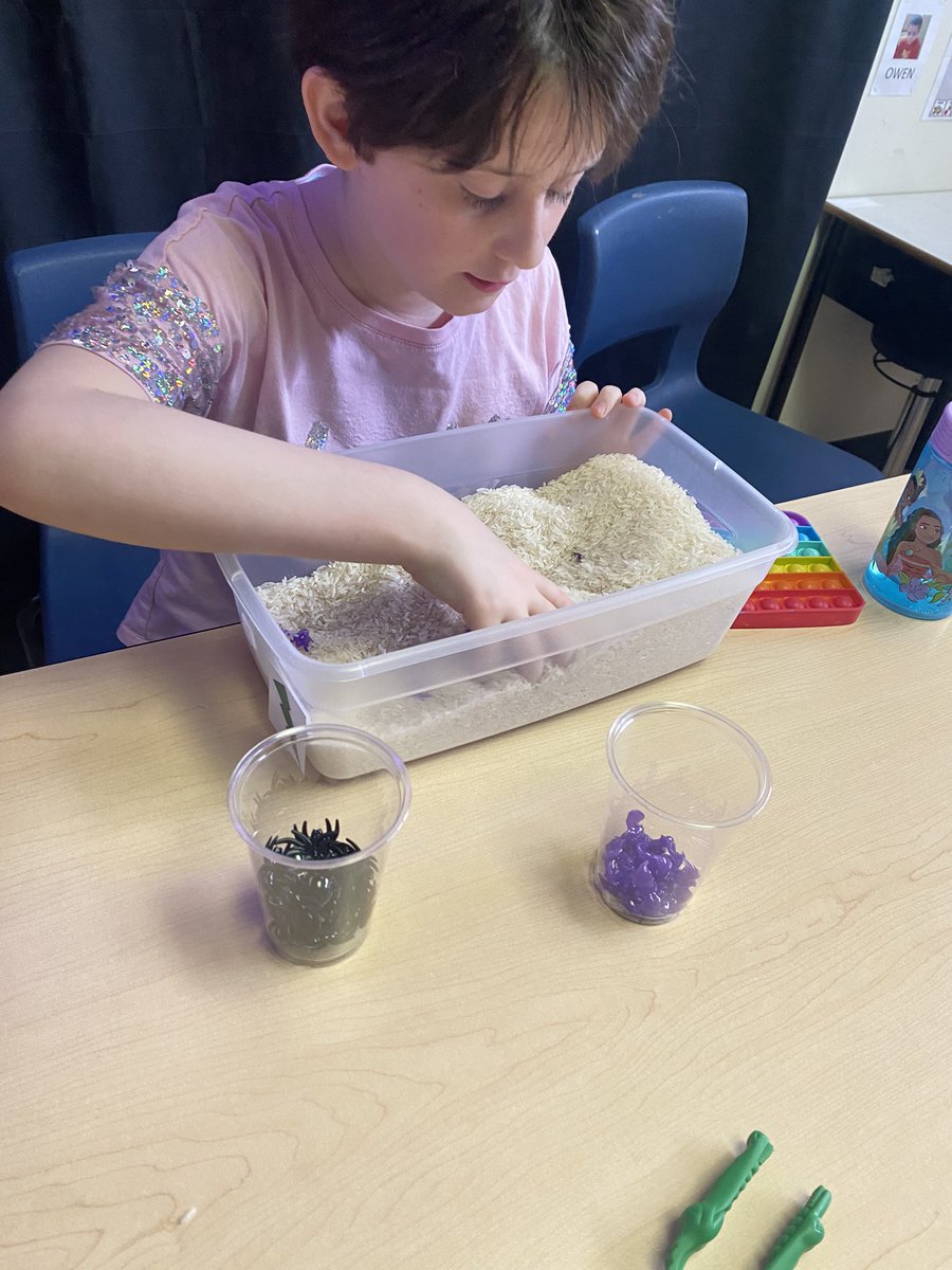 B enjoyed her sensory sorting task today 🦇🕷