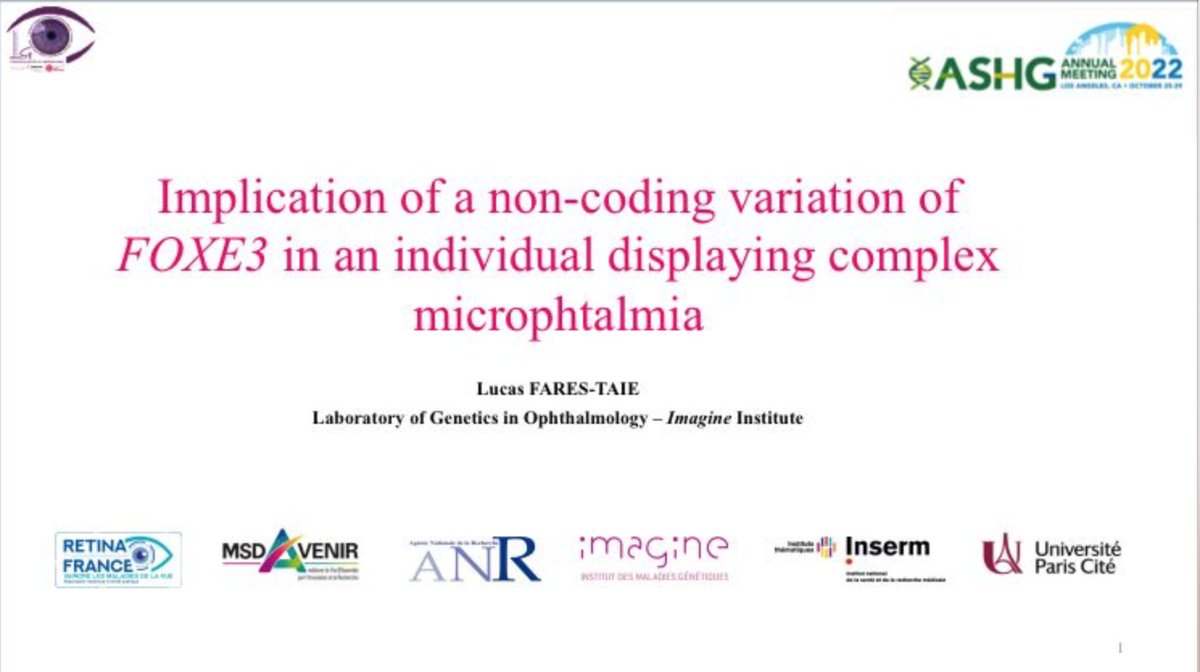 Toujours l' <a href="/InstitutImagine/">Institut Imagine</a> la <a href="/GeneticsSociety/">ASHG</a>  Los Angeles 2022 : communication de Lucas Fares sur les variations du génome non codant dans des malformations oculaires dans Labo de Jean Michel Rozet. #ASHG22 #GeneticsDiseases