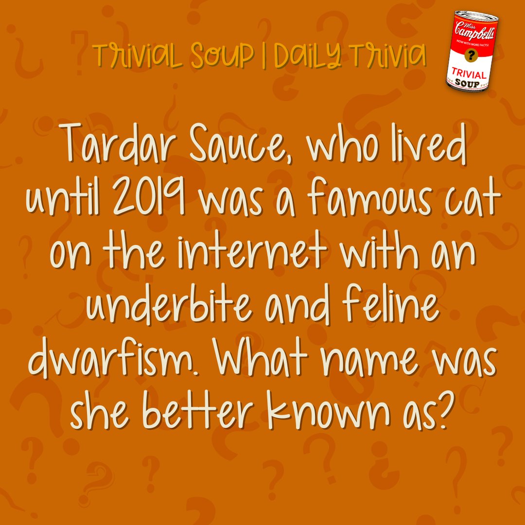 trivial.soup tweet media