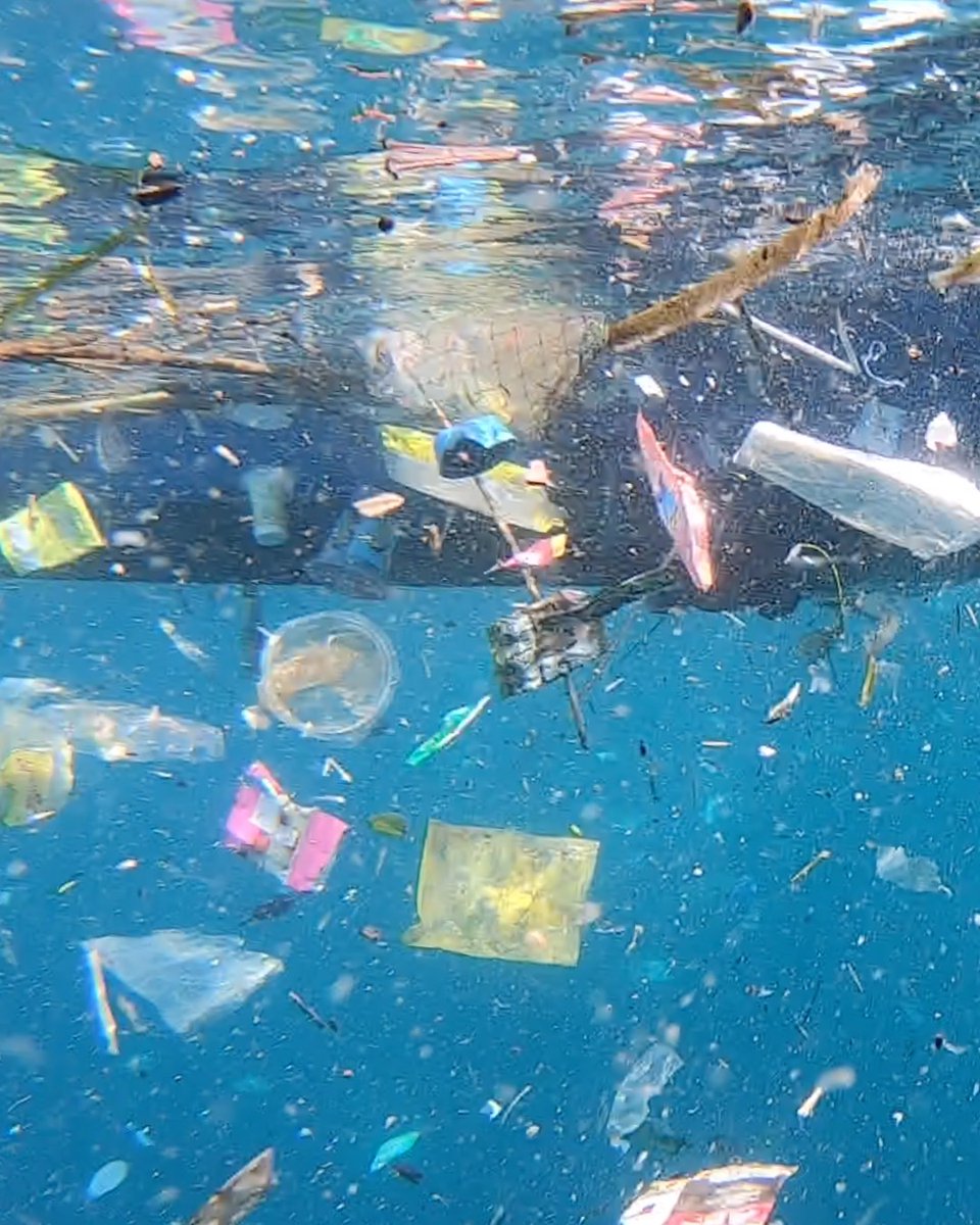 4ocean's tweet photo. What we see vs. What marine life sees 

Plastic pollution hurts everyone. With 18 billion pounds of plastic waste entering the ocean each year, the time to take action is now.

Luckily, you can help clean this up from anywhere in the world every time you shop 4ocean. https://t.co/SN8kLpZoGy