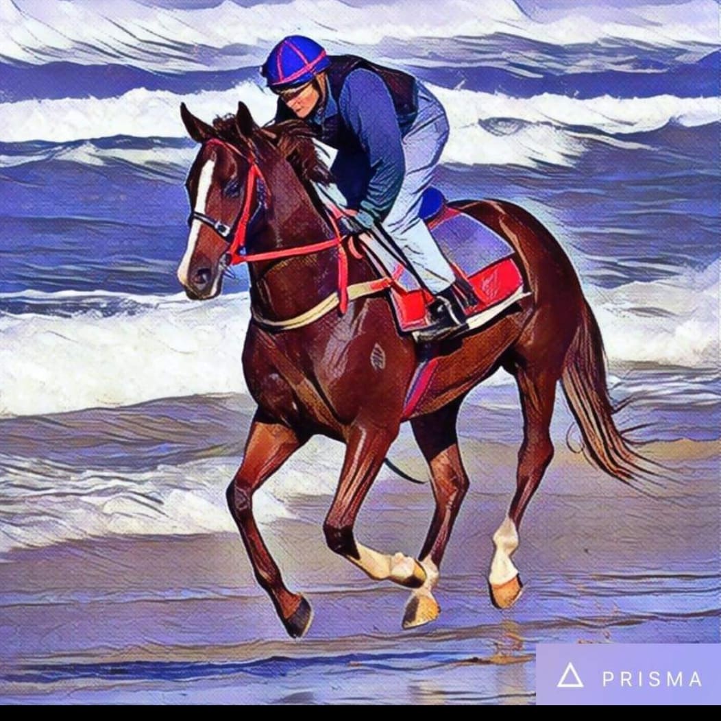 Thank you for all the support you have given me over these last few years, you were the 1st big stable to get me going here, and for that I can&#39;t thank you enough. It&#39;s been pleasure riding winners for you. RIP The Queen of Kembla 🙏 @markwellracing