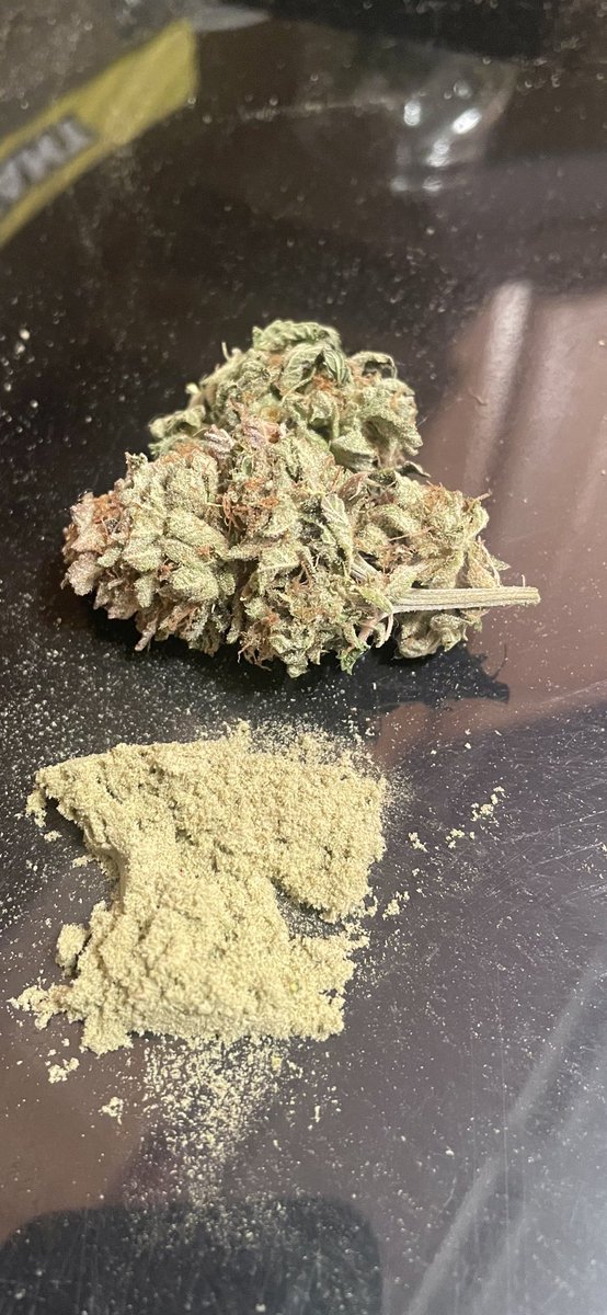 rastanewman's tweet photo. This Vanilla Drip though π€€π€―. Just finished the trim and off to cure. Snuck a bowl first and man, itβs fierce. @breeder_j @irvineseedco @lotusnutrients #Mmemberville #420community #cannabiscommunity #irvinearmy #freetester #dank #growyourown #vaisforgrowers https://t.co/oKQguqQhsu