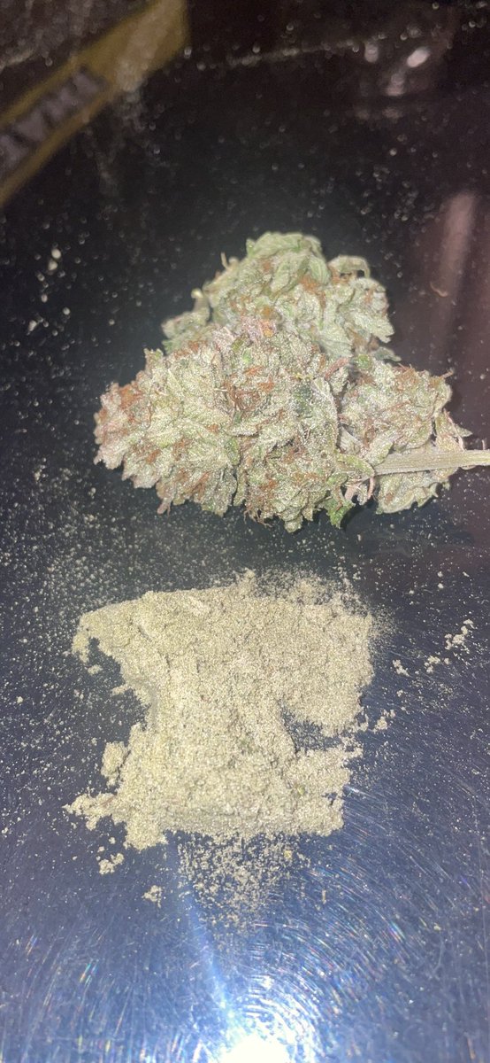 rastanewman's tweet photo. This Vanilla Drip though π€€π€―. Just finished the trim and off to cure. Snuck a bowl first and man, itβs fierce. @breeder_j @irvineseedco @lotusnutrients #Mmemberville #420community #cannabiscommunity #irvinearmy #freetester #dank #growyourown #vaisforgrowers https://t.co/oKQguqQhsu
