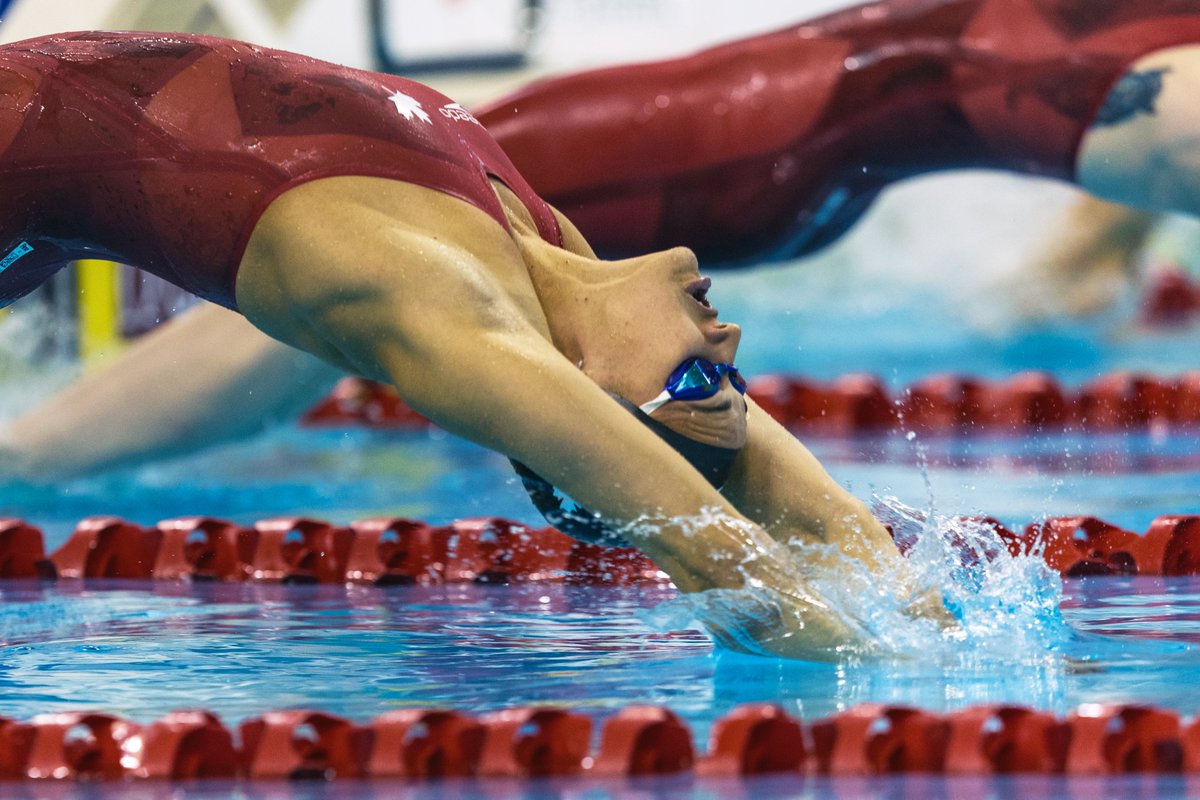 Stars in action at the #Swimming World Cup! 
Watch LIVE the first session of finals 👉 fina.org 

🗓️ (29th October at 00:00 CET)