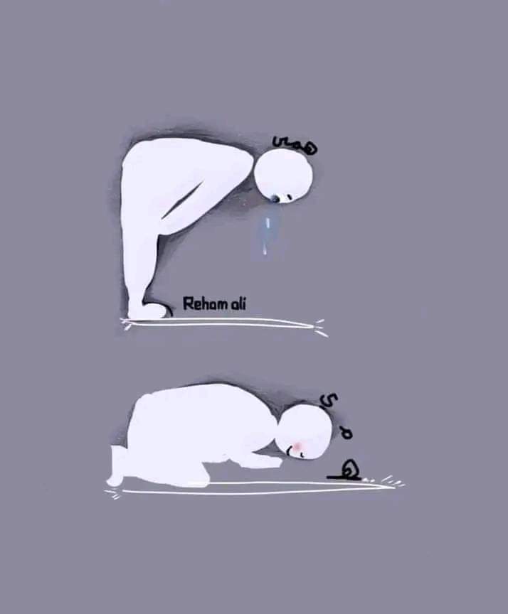 motm2na_'s tweet photo. "وإذا سجدتَ فأَطِل، فإنَّ البلاءَ لا يستقِر على ظهرِ ساجدٍ"🤍 https://t.co/8sRIO18Rwp