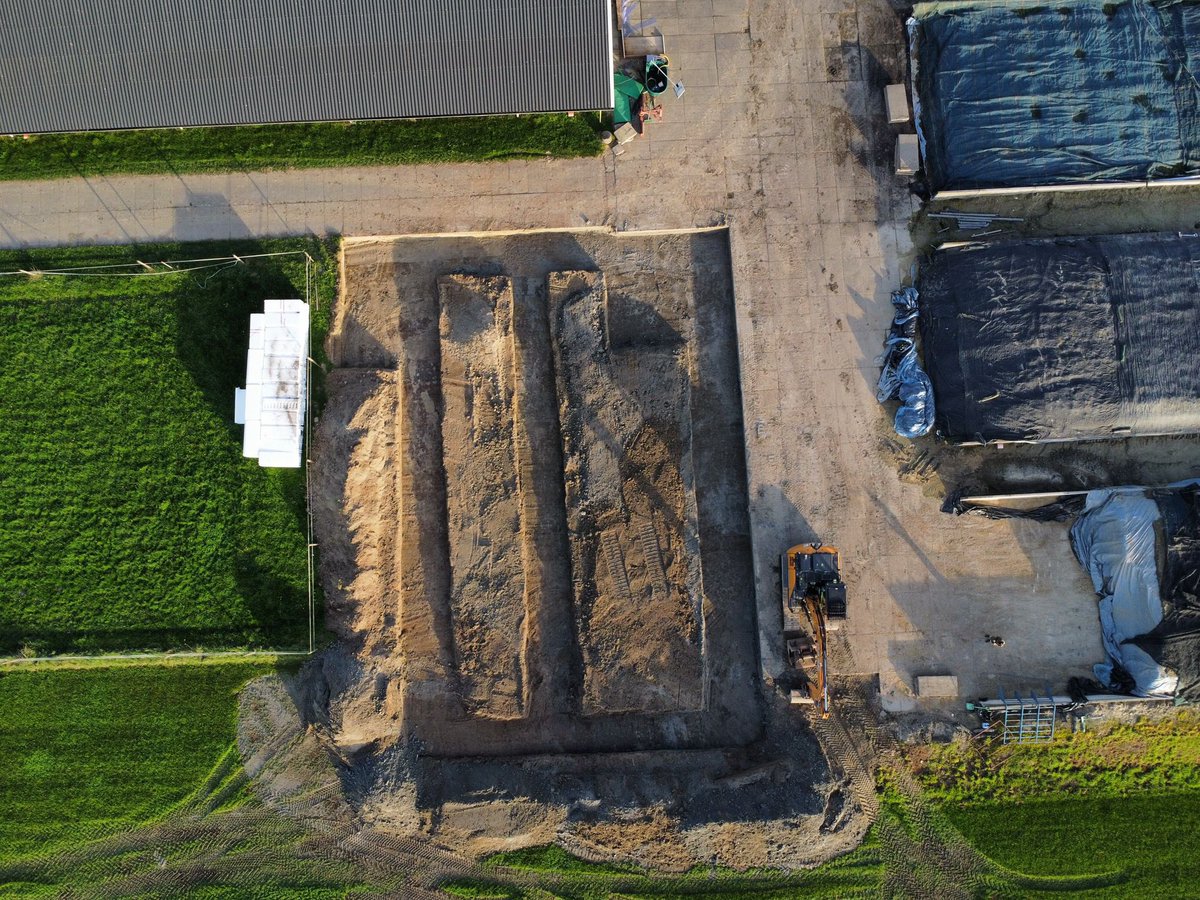 Sander vijverberg tweet media